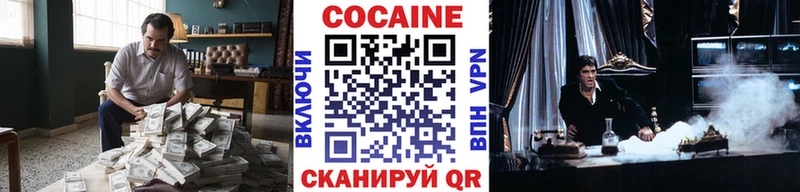 Cocaine Эквадор  блэк спрут маркетплейс  Игра 