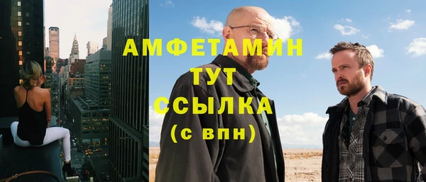 стаф Алзамай