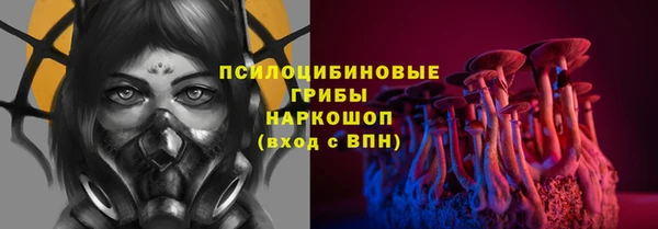 стаф Алзамай