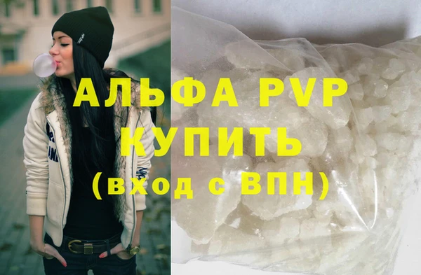 стаф Алзамай