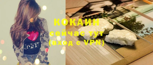 стаф Алзамай