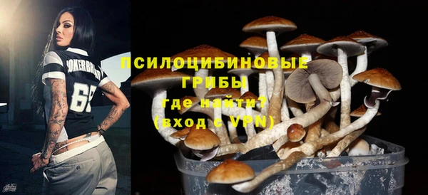 стаф Алзамай